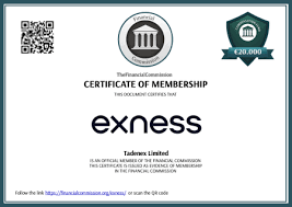 Understanding Exness Pakistan Broker Your Guide to Online Trading